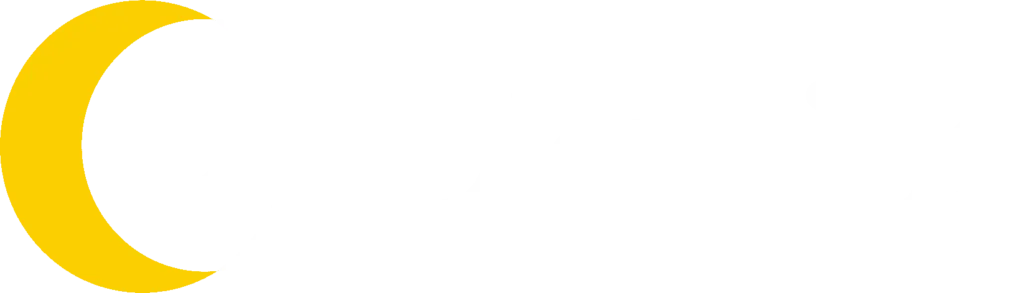 Diginius Logo white_no strapline